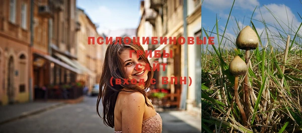 дмт Алексин